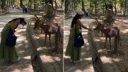 Japan&rsquo;s Nara Deer Bows Back at Indian Woman in Heartwarming Gesture, Adorable Instagram Reel Goes Viral (Watch Video)