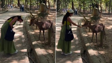 Japan’s Nara Deer Bows Back at Indian Woman in Heartwarming Gesture, Adorable Instagram Reel Goes Viral (Watch Video)