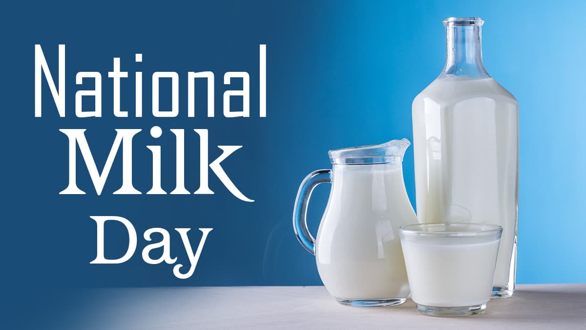 National Milk Day 2024 in India Quotes and Messages: Slogans on Milk ...