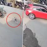 Pune Shocker: Speeding Car Runs Over Dog Near Purnima Towers in Swargate, Canine Collapses and Dies; Disturbing Video Surfaces