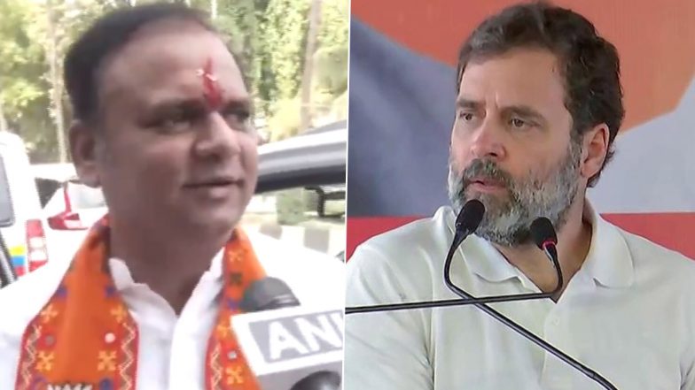 'This Rahul Is Enough, Mumbai Doesn't Need That Rahul': BJP Leader Rahul Narwekar Says Rahul Gandhi's Visit to Mumbai Will Benefit MahaYuti (Watch Video)