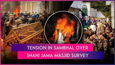 Sambhal Violence: Clashes Break Out During Protest Over Shahi Jama Masjid Survey, 3 Killed, Schools Shut