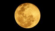 Beaver Moon on November 15: When and Where To Watch the Last Supermoon of 2024? Know Important Details As the Full Moon Graces the Night Sky