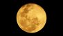 Beaver Moon on November 15: When and Where To Watch the Last Supermoon of 2024? Know Important Details As the Full Moon Graces the Night Sky