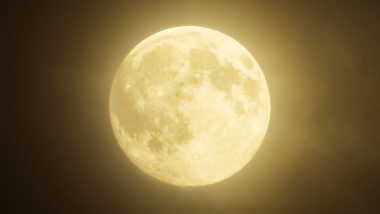 Beaver Moon Is the Final Supermoon of 2024: Know November Full Moon Date, Timings and Other Details of the Supermoon Set To Grace the Night Sky