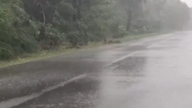 Cylone Fengal Update: Intense Rain Spells To Continue in North Tamil Nadu Coastal Districts Due to Cyclonic Storm (Watch Videos)