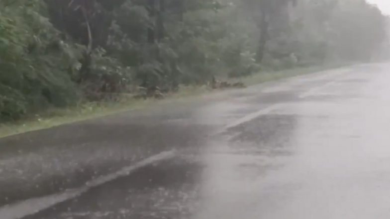 Cyclone Fengal Update: Intense Rain Spells To Continue in North Tamil Nadu Coastal Districts Due to Cyclonic Storm (Watch Videos)