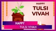 Tulsi Vivah 2024 Wishes, Greetings, Messages and Quotes to Celebrate the Auspicious Festival