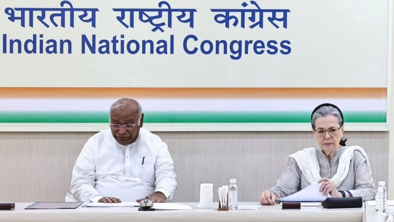 Tough Decisions Have to Be Taken, Need to Learn from Poll Results: Kharge at CWC Meet