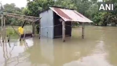 Cyclone Dana Aftermath: Cyclonic Storm Caused Damage to Public, Private Properties Worth INR 600 Crore in Odisha