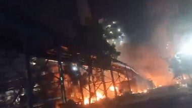 Wardha Fire: 16 Injured After Blaze Erupts at Bhugaon Steel Company in Maharashtra (Watch Video)