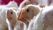 Bird Flu in Canada: Country Confirms First Domestically Acquired Human Case of H5N1 Avian Influenza in British Columbia