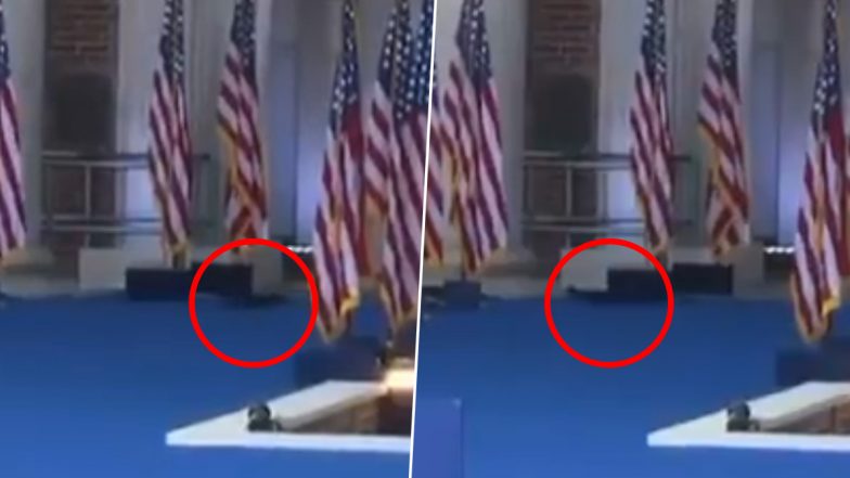 Squirrel Steals the Spotlight While Running Across Washington DC Stage Moments Before Kamala Harris’ Concession Speech, Netizens Call It ‘Spirit of Peanut’