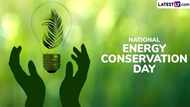 Quotes, Photos and Messages To Celebrate National Energy Conservation Day 2024 