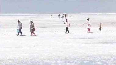 Rann Utsav 2024-25: Tourists Throng the Rann of Kutch at Gujarat's Dhordo Village To See White Salt Desert as 100-Day Festival Continues (Watch Video)