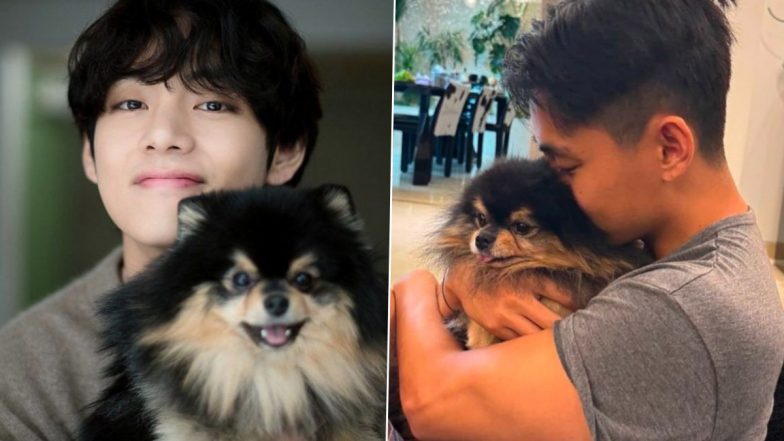 BTS Member V’s Pet Dog Yeontan Aka Tannie Dies; Kim Taehyung Shares Emotional Tribute With ARMY