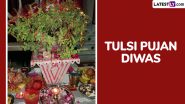 Tulsi Pujan Diwas 2024 Wishes and Images Take Over X: Social Media Users Share Thoughtful Quotes, Greetings, Wallpapers and Messages To Celebrate Tulsi Plant