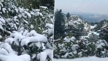 Himachal Pradesh Weather Forecast: State To Experience Dry Weather in Coming Days; IMD Predicts Snowfall in Shimla After Christmas, Likely by December 27