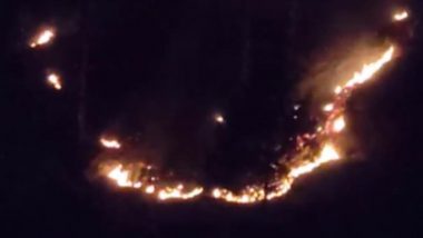 Jammu and Kashmir: Massive Forest Fire Breaks Out in Doda's Chenab Valley (Watch Video)