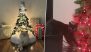 Cats vs Christmas Trees Funny Memes and Jokes: From Attack & Demolition of Xmas Tree to ‘Sudden Nap’ Under It, Hilarious Posts for the Fur-Tastic Festivities