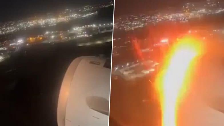 American Airlines Bird Strike Video: New York-North Carolina Flight AAL1722 Flyer Records Frightening Moment When Bird Strikes Jet Engine