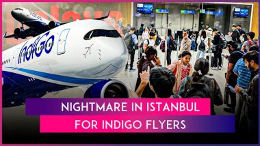 IndiGo Flights Connecting Istanbul Delayed, Hundreds of Passengers Stranded at Airports ‘Without Food’