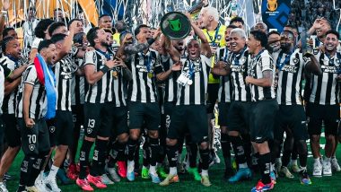 Brazilian Serie A 2024: Copa Libertadores Champion Botafogo Wins Its First League Title Since 1995