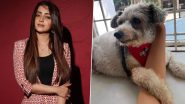 ‘My Life Has Zero Meaning Henceforth’: Trisha Krishnan Mourns the Loss of Her ‘Son’ and Pet Dog Zorro, Announces Break From Work