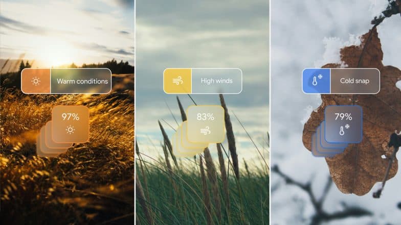 Google Introduces ‘GenCast’ AI Weather Model for Forecasts; Check Details