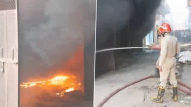 Delhi Factory Fire: Massive Blaze Erupts at Foam Factory in Karawal Nagar Area, Firefighters Present at Spot (Watch Video)