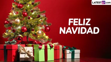 Feliz Navidad 2024 Images and HD Wallpapers for Free Download Online: WhatsApp Messages, Quotes, Greetings and Photos To Wish Merry Christmas