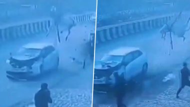 Baghpat Accident: Car Strikes Horse, Sending It Flying and Killing It; 5 Injured (Watch Video)