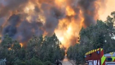 Chile Wildfire: Thousands Evacuated As Blaze Engulfs Metropolitan Region Amid Heatwave (Watch Videos)