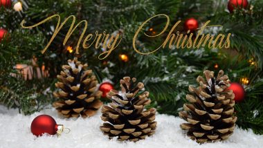 Christmas 2024 Messages: Send Season’s Greetings, Wishes, Santa Clause HD Images, Xmas Quotes, GIFs and Wallpapers During the Holidays