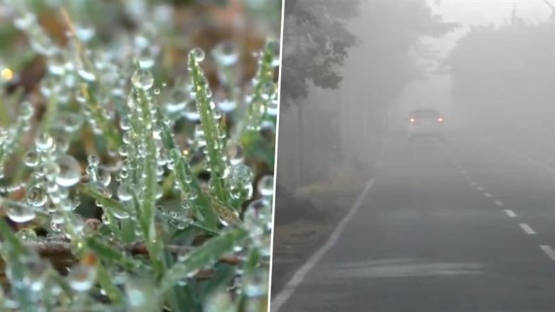 Odisha Weather Update: Fog Blankets Mayurbhanj As Temperature Drops Across State (Watch Video)