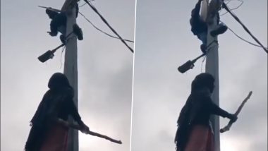 Sambhal Shocker: Woman Climbs Electric Pole to Stop Lineman from Cutting Her Power, Forces Him to Back Down (Watch Video)