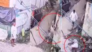 Chennai: Man Touches Live Wire While Plucking Coconuts From Tree, Dies of Electric Shock; Terrifying Video Surfaces