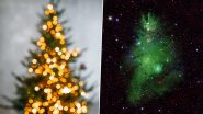 What Is Christmas Tree Cluster? A Group of Young Stars Called 'NGC 2264' That Look Like Tree of Christmas?