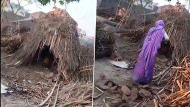 Animal Cruelty in Hardoi: Elderly Woman Throws Newborn Puppies into the Cold (Watch Video)