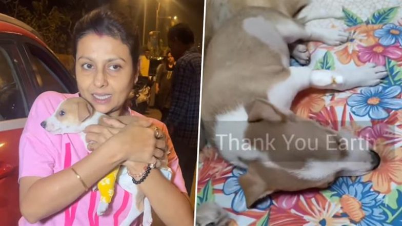 Actress Jaya Bhattacharya Rescues Male Puppy Raped by Boy, Dog&rsquo;s Internal Organs Damaged &ndash; Disturbing Videos Surface