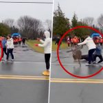 US: 3 Injured As 4 Deer Charge Through Crowd at Watertown Turkey Day Run in New York (Watch Video)