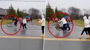 US: 3 Injured As 4 Deer Charge Through Crowd at Watertown Turkey Day Run in New York (Watch Video)