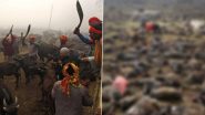 What Is Gadhimai Festival? All About Nepal’s Mass Animal Sacrifice Festival Where Buffaloes, Goats and Other Animals Are Butchered To Please Goddess Gadhimai