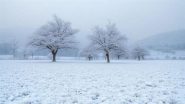 Odisha Snowfall Videos: Winter Surprise As Rare Snow Blankets Sundergarh and Mayurbhanj, Amazes Locals