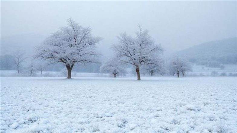 Odisha Snowfall Videos: Winter Surprise As Rare Snow Blankets Sundergarh and Mayurbhanj, Amazes Locals