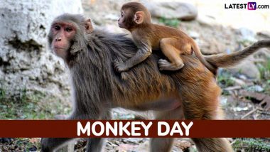 Monkey Day 2024 Date: Know History and Significance of the Day That Highlights the Need to Protect and Conserve Monkeys