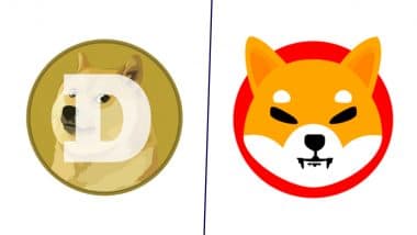 Dogecoin Price Jumps 3%, Expected To Reach USD 1 by End of 2024 Amid Crypto Market Bull Run, Shiba Inu Price Rises 7%; Check Details