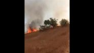 Gandhi Sagar Wildlife Sanctuary Fire: Massive Blaze Erupts in Forest Area in Madhya Pradesh (Watch Video)