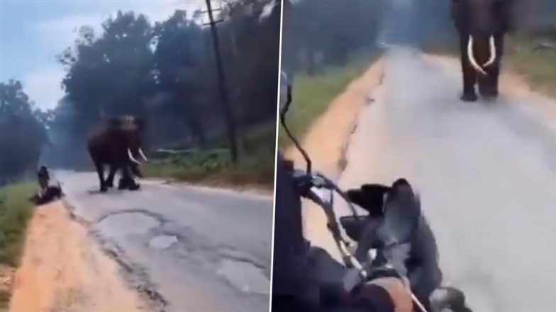 Elephant Attack in Karnataka: Narrow Escape for Bikers As Tusker Charges at Them on Mananthavady-Mysuru Road in Bandipur Tiger Reserve, Video Surfaces