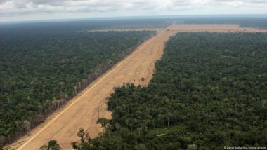 EU Strikes Deal on Law to Slow Deforestation